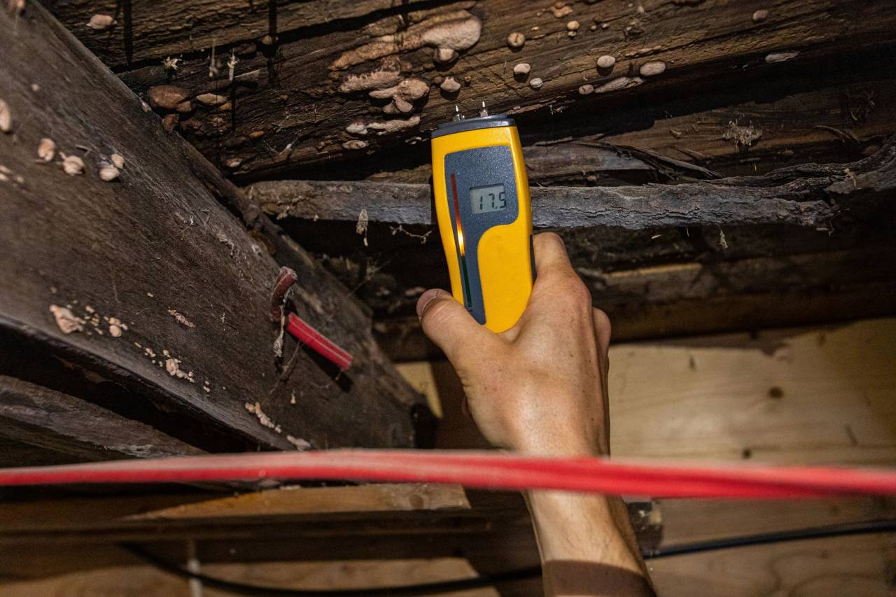 Mold growth on concrete block wall from persistent moisture